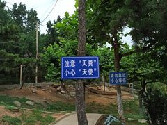 -西霞口神雕山野生动物世界