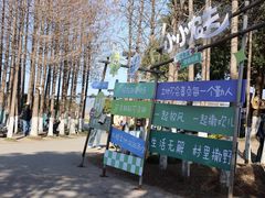 -乌村