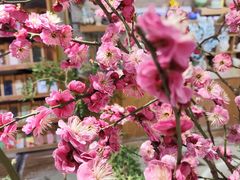 -今日陶艺(富力广场店)