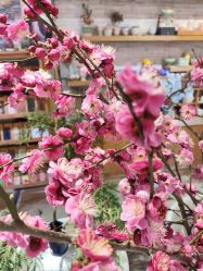 -今日陶艺(富力广场店)