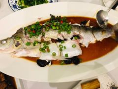 -西湖春天•老字号杭州菜(百汇店)