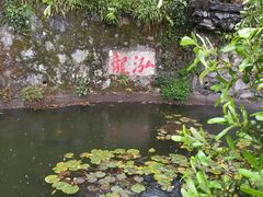 -十八棵（老龙井）御茶园(老龙井店)