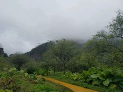 -广州市石门国家森林公园