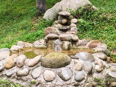 -都江堰中华大熊猫苑