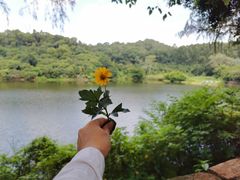 -火炉山森林公园