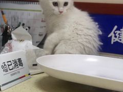 -艾贝尔宠物医院·狂犬免疫点(江山金象城店)