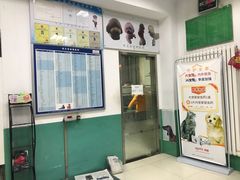 -利又安动物医院··老年病·猫科犬科·中兽医
