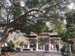 -杭州半山国家森林公园