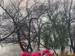 -宝安西湾红树林湿地公园