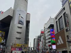 -涩谷全向十字路口