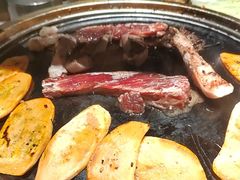 -杨小佳·齐齐哈尔烤肉·烤串(广州店)
