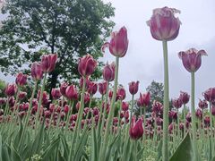 -长春公园(普阳街道)