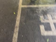 -刘姐啤酒鱼民族演艺餐厅(西街总店)
