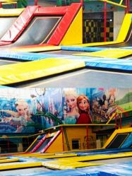 -爱丽丝奇幻乐园