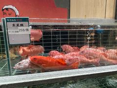 -阿毛饭店首店·宁波老字号(文化广场店)