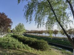 -羊山湖公园
