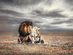 -罗红摄影艺术馆