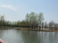 -东郊湿地公园