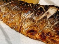 盐烧鲭花鱼-东京屋(武定路店)