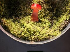 -野·大山里土鸡火锅(万科里店)
