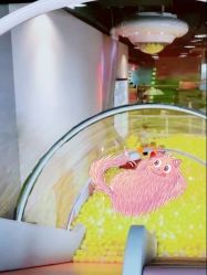 -meland亲子乐园(深圳领展中心城店)
