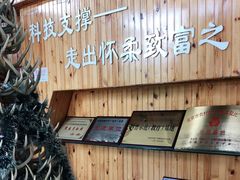 -北京鹿世界主题园