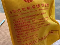 -大槐树寻根祭祖园