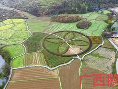 -靖西鹅泉风景区