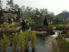 -武清南湖绿博园