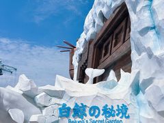 -秦皇岛乐岛海洋王国