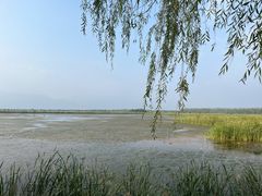 -野鸭湖国家湿地公园