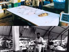 -尼甘布海鲜市场