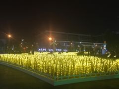 -一叶一世界•素食餐厅(环球中心店)