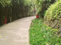 -重庆彩云湖湿地公园
