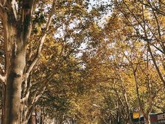 -欣达面馆(天桥支路店)