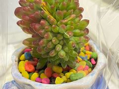 -鱼痴渔醉·食鲜集(汉口江滩店)