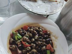 -小六农家乐(崇明西沙湿地店)
