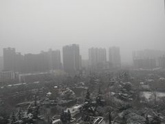 -西苑公园
