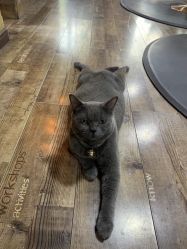 -青木造型HAIR·あおき髪を刈る潮人店