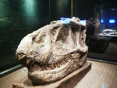 -自贡恐龙博物馆