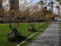 -新城控股新总部大楼