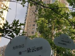 -武昌江滩