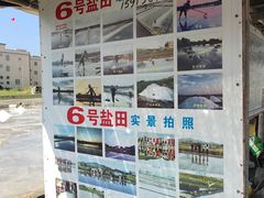 -盐洲岛