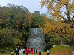 -千年银杏谷文化旅游区