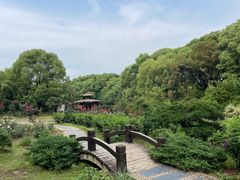 -东湖落雁景区