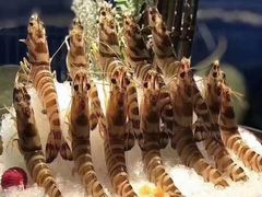 -望京一号·重庆江湖菜(工体店)