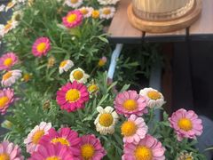 -苦尽酒馆·川菜(鼓楼店)