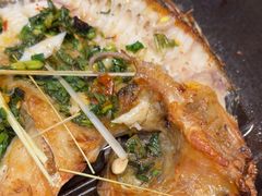 -雀舞云南菜(天津天河城购物中心店)