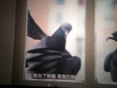 -博纳国际影城(铜锣湾激光巨幕杜比店)