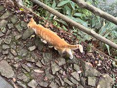 -东天目山风景区